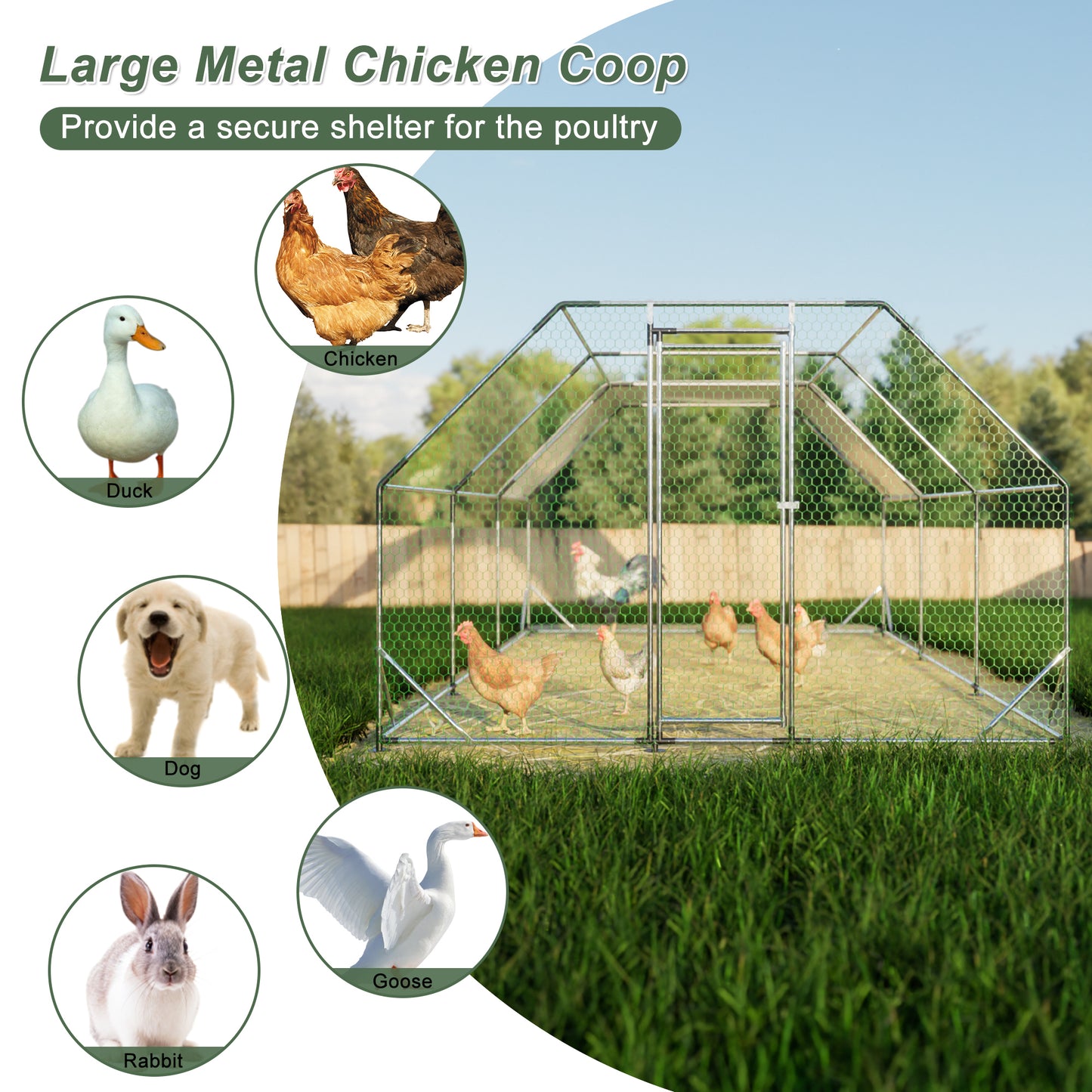 10 ft. x 20 ft. Galvanized Large Metal Walk in Chicken Coop Cage Farm Poultry Run Hutch Hen House