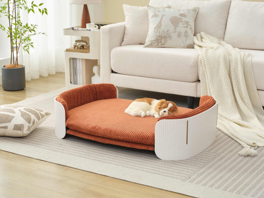 Scandinavian style Cat Couch Bed, Pet Sofa for Indoor Cats PP Indoor Pet Furniture Elevated Cat Beds with Removable Mattress Cover Suitable for Mid or Large  Animal Brand Design White+Brown