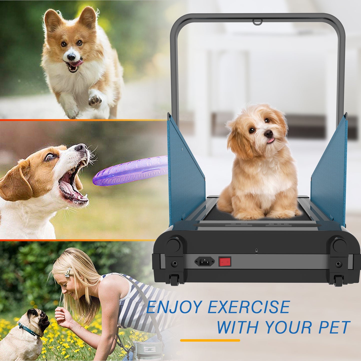 Dog Treadmill Small Dogs - Dog Treadmill for Medium Dogs - Dog Pacer Treadmill for Healthy & Fit Pets - Dog Treadmill Run Walk