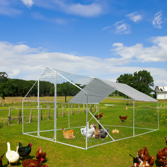 XPT034 Outdoor chicken coop metal big space 13*10*6FT