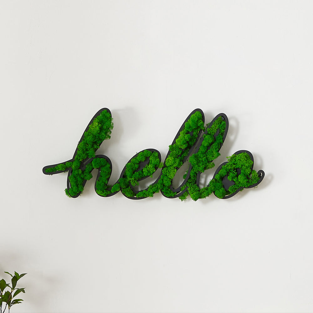 HELLO Letter Art Moss Wall Decor