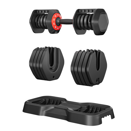 Adjustable Dumbbell Set, 10 in 1 Free Dumbbell for Men and Women, Black Dumbbell for Home Gym, Full Body Workout Fitness, Fast Adjust by Turning Handle (10 Gears/55 LB)