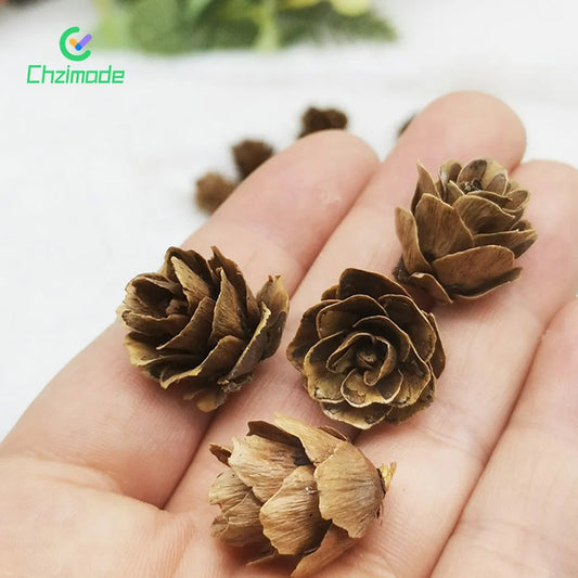 50PCS Mini Pinecones DIY Xmas Tree Pendant Decor Christmas Pine Cones Ornaments for Festival Party New Year Accessories