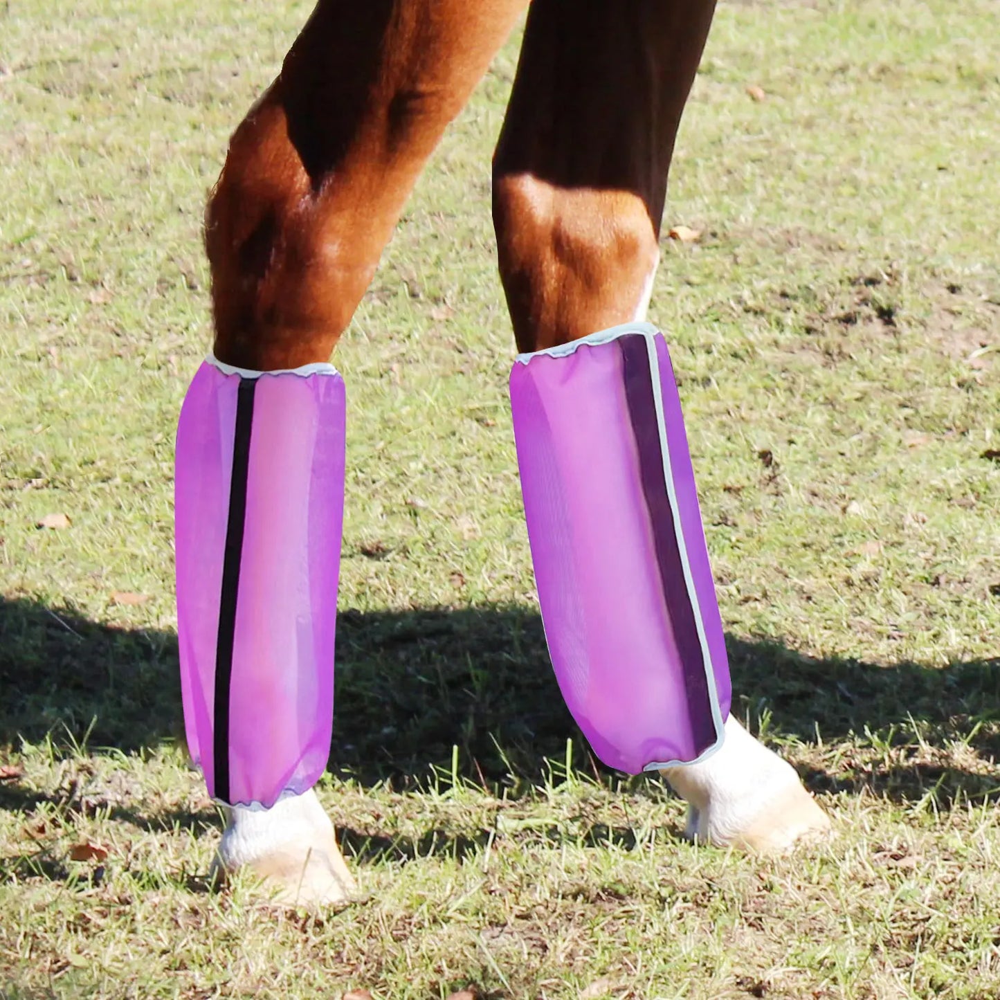 Mesh Fly Boots for Horse Breathable Shoofly Leggings