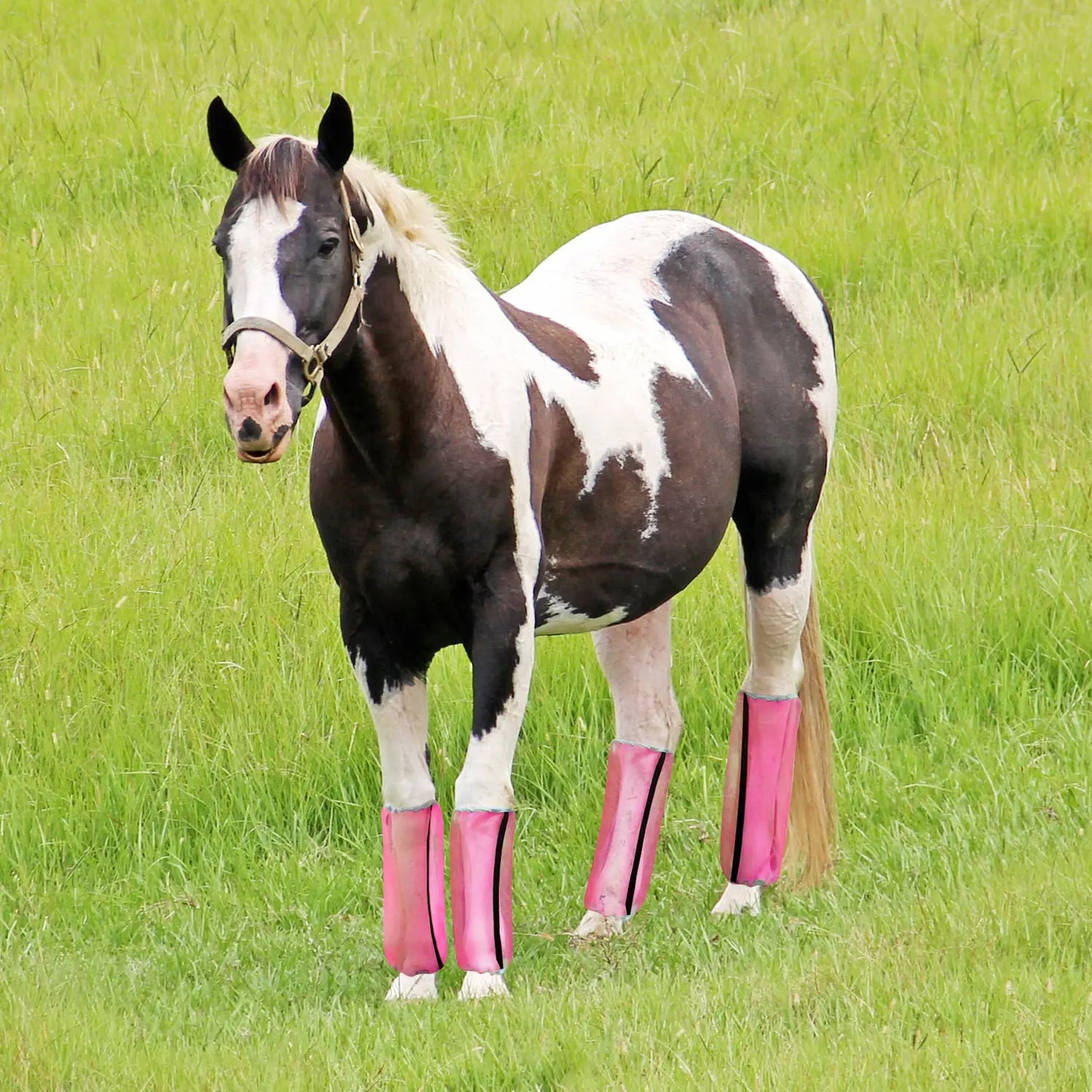 Mesh Fly Boots for Horse Breathable shoofly Leggings