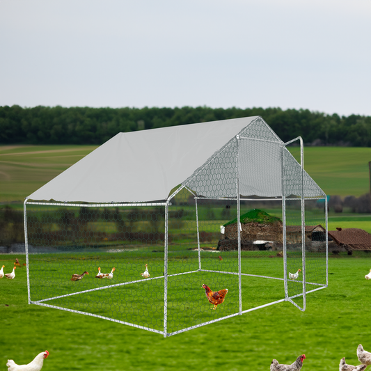 XPT033 Outdoor chicken coop metal big space 10*6*6FT