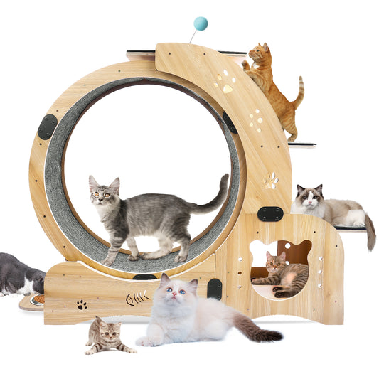 Cat Wheel 6-in-1 Cat Exercise Wheel,Upgraded Cat Wheel Exerciser for Indoor Cats,Large Cat Treadmill,Cat Running Wheel with Silent Wheel,Cat Walking Wheel Cat Furniture Cat Toys