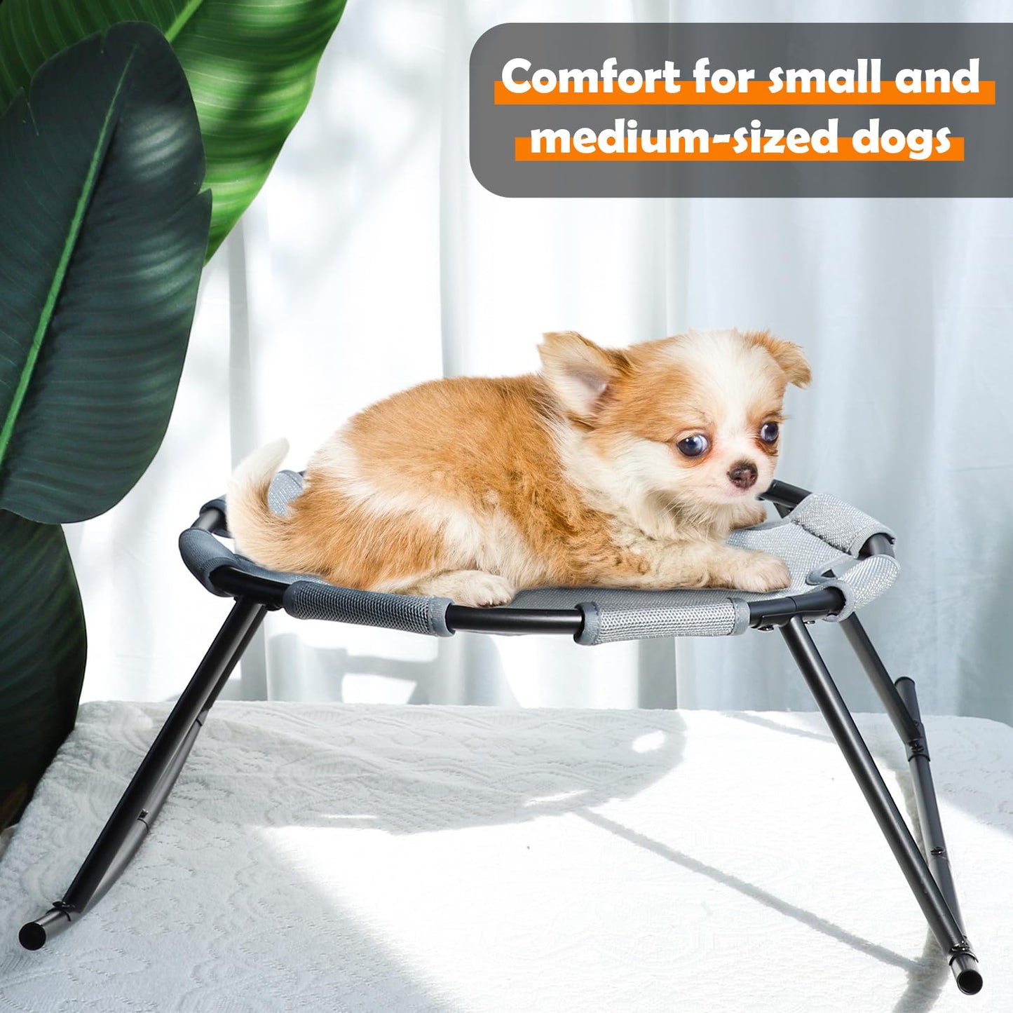 Elevated Dog Bed for Small Dogs with Washable Breathable Mesh and Removable Steel Frame Raised Cooling Pet Cot